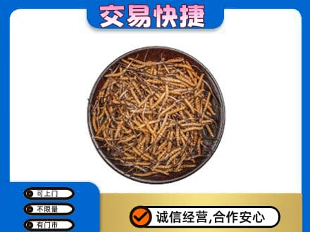 商洛回收散虫草